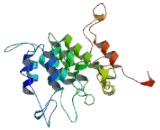 Glycoprotein M6B (GPM6B)