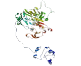 Glycosylphosphatidylinositol Anchor Attachment Protein 1 (GPAA1)