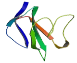 Glycosylphosphatidylinositol Anchored Molecule Like Protein (GML)