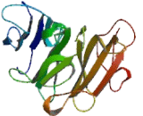 Glycosylphosphatidylinositol Specific Phospholipase D1 (GPLD1)