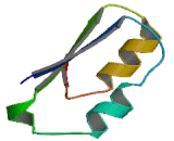 Glycosyltransferase 25 Domain Containing Protein 1 (GLT25D1)