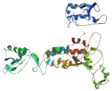 Glypican 2 (GPC2)