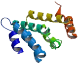 Golgi Associated Gamma Adaptin Ear Containing ARF Binding Protein 2 (GgA2)