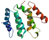 Golgi Associated Gamma Adaptin Ear Containing ARF Binding Protein 3 (GgA3)