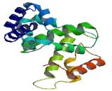 Golgi Brefeldin A Resistant Guanine Nucleotide Exchange Factor 1 (GBF1)