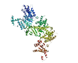 Golgi Glycoprotein 1 (GLG1)