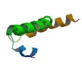 Golgi Integral Membrane Protein 3 (GOLIM3)