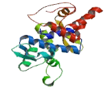 Golgi Phosphoprotein 3 (GOLPH3)