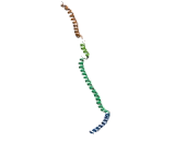 Golgi SNAP Receptor Complex Member 1 (GOSR1)