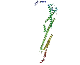 Golgin A6 Like Protein 1 (GOLGA6L1)