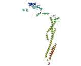 Golgin A6 Like Protein 2 (GOLGA6L2)