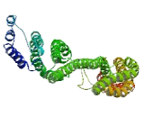 Golgin A6 Like Protein 4 (GOLGA6L4)