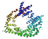 Golgin A6 Like Protein 6 (GOLGA6L6)