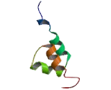 Gonadotropin Releasing Hormone 2 (GnRH2)