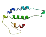 Gonadotropin Releasing Hormone Receptor (GnRHR)