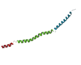 Growth Arrest And DNA Damage Inducible Protein Gamma Interacting Protein 1 (GADD45gIP1)