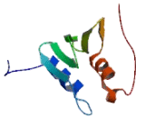 Growth Arrest Specific Protein 2 (GAS2)