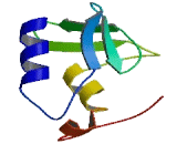 Growth Arrest Specific 2 Like Protein 3 (GAS2L3)