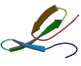 Growth Arrest Specific Protein 7 (GAS7)