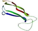 Growth Differentiation Factor 9 (GDF9)