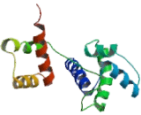 Growth Hormone Factor 1 (GHF1)