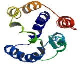 Growth Hormone Inducible Transmembrane Protein (GHITM)