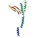 GrpE Like Protein 1, Mitochondrial (GRPEL1)