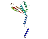 GrpE Like Protein 2, Mitochondrial (GRPEL2)