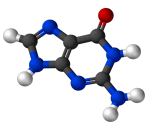 Guanine (Gua)