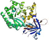 Guanine Deaminase (GDA)