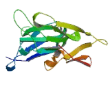 Guanine Nucleotide Binding Protein Subunit Beta 1 Like Protein (GNb1L)