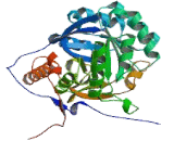 Guanosine Monophosphate Reductase 1 (GMPR1)