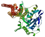 Guanylate Binding Protein 3 (GBP3)