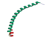 Guanylate Cyclase 1 Alpha 2 (GUCY1a2)