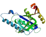 Guanylate Cyclase 1 Beta 2 (GUCY1b2)