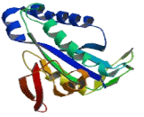 Guanylate Cyclase 2D (GUCY2D)