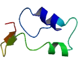 H1 Histone Family, Member N, Testis Specific (H1FNT)