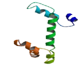 H2A Histone Family, Member B (H2AFB)