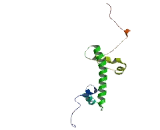 H2A Histone Family, Member X (H2AFX)