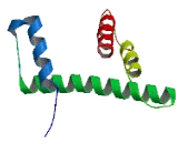 H2B Histone Family, Member W, Testis Specific (H2BFWT)