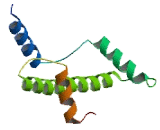 H3 Histone Family 3B (H3F3B)