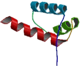 H6 Family Homeobox Protein 2 (HMX2)