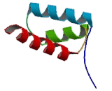 H6 Family Homeobox Protein 3 (HMX3)