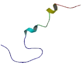 HBV XAg Transactivated Protein 12 (XTP12)