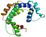 HCC Down Regulated Mitochondrial Carrier Protein (HDMCP)