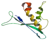 HCLS1 Binding Protein 3 (HS1BP3)