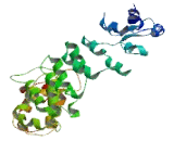 HEAT Repeat Containing Protein 1 (HEATR1)