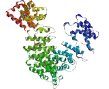 Dynein Assembly Factor 5, Axonemal (DNAAF5)