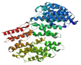 HEAT Repeat Containing Protein 3 (HEATR3)