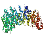 HEAT Repeat Containing Protein 4 (HEATR4)